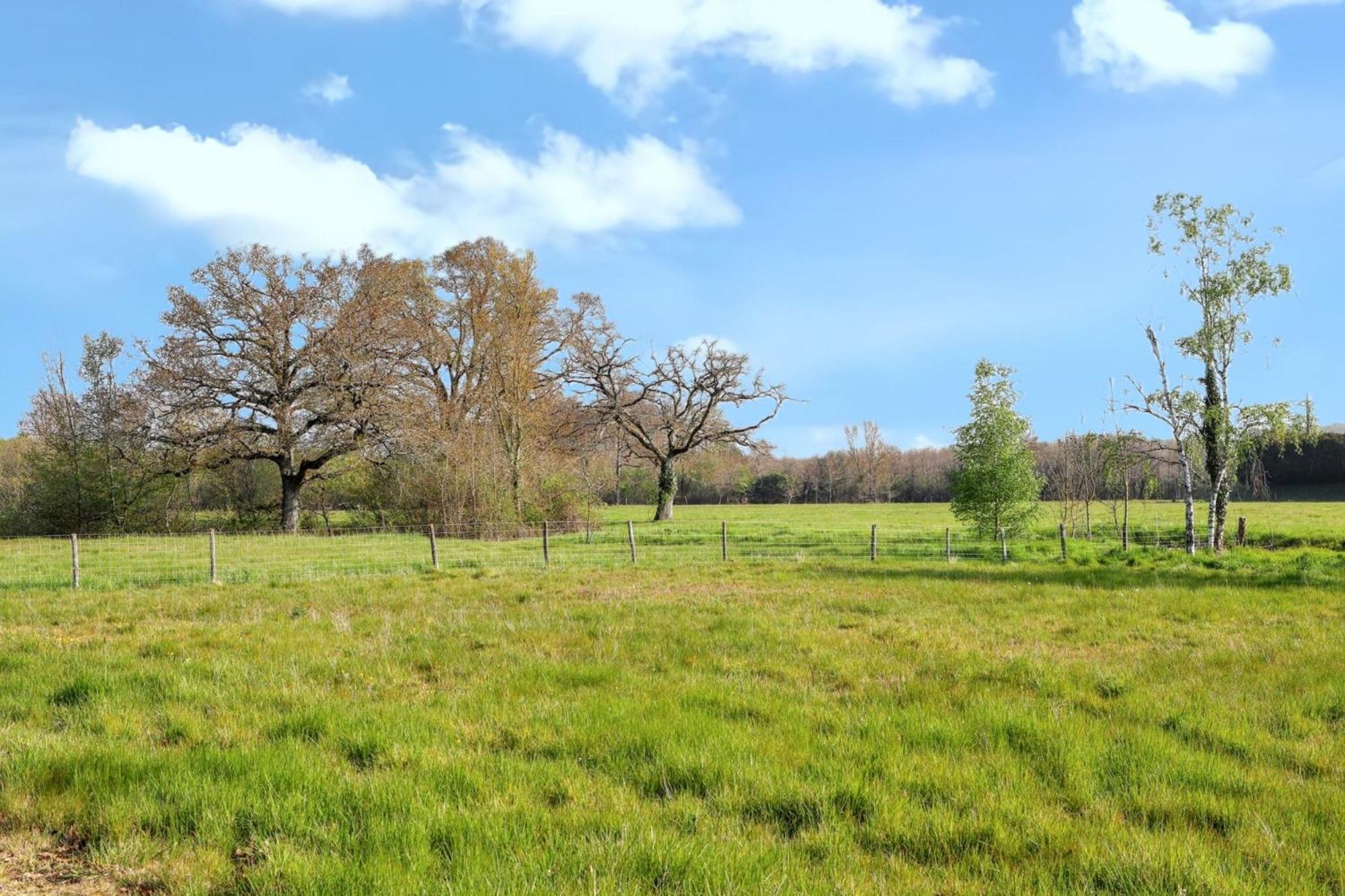 Appartement Cosy A Mont Pres Chambord 100 M² Terrasse Esterno foto